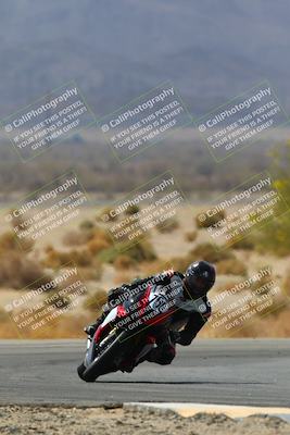 media/Apr-10-2022-SoCal Trackdays (Sun) [[f104b12566]]/Turn 5 Tree of Life (1040am)/